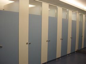 衛(wèi)生間隔斷效果圖 衛(wèi)生間隔斷 武漢永盛衛(wèi)生間隔斷高清圖片 高清大圖